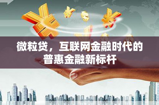 措勤微粒贷，互联网金融时代的普惠金融新标杆