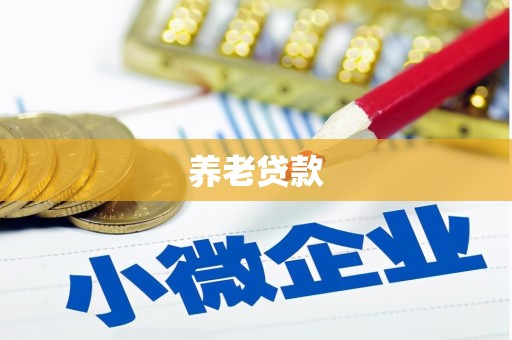 威宁养老贷款