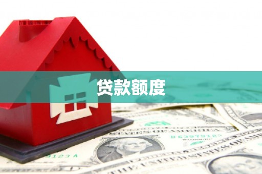 广水贷款额度