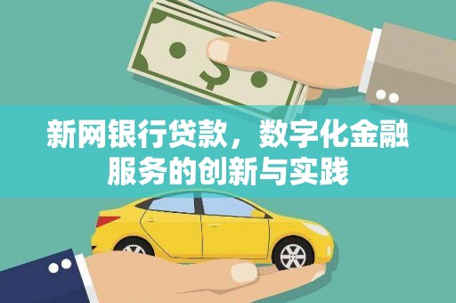 儋州新网银行贷款，数字化金融服务的创新与实践