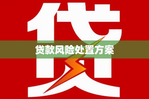 大林贷款风险处置方案
