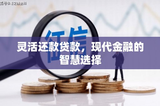 吉县灵活还款贷款，现代金融的智慧选择