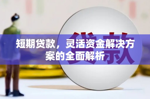 镇平短期贷款，灵活资金解决方案的全面解析