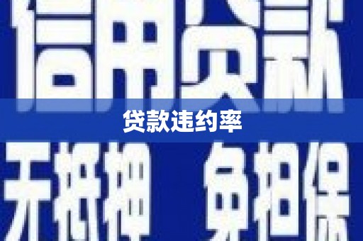 徽州贷款违约率