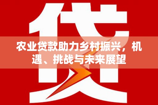 新华农业贷款助力乡村振兴，机遇、挑战与未来展望
