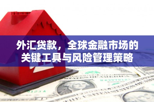 漳平外汇贷款，全球金融市场的关键工具与风险管理策略