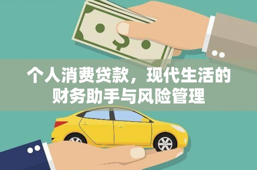 云梦个人消费贷款，现代生活的财务助手与风险管理