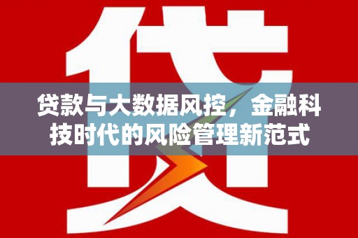 南海贷款与大数据风控，金融科技时代的风险管理新范式