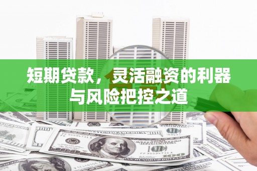 志丹短期贷款，灵活融资的利器与风险把控之道