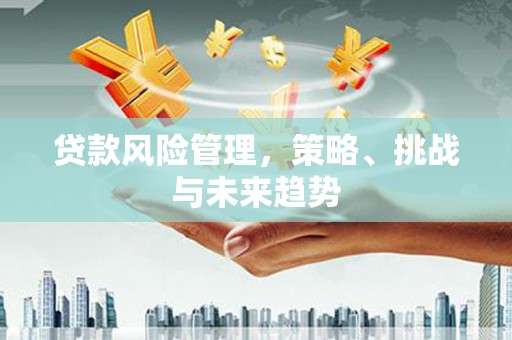 隆子贷款风险管理，策略、挑战与未来趋势