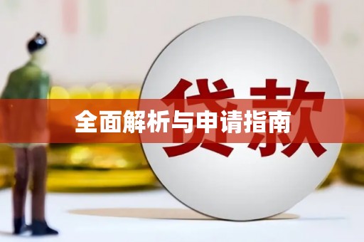 雅安全面解析与申请指南