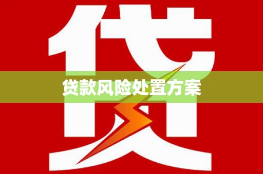 内埔贷款风险处置方案