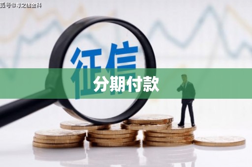 美姑分期付款