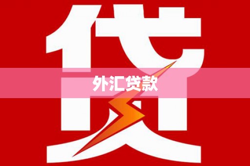 杜集外汇贷款