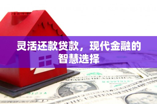 三民灵活还款贷款，现代金融的智慧选择