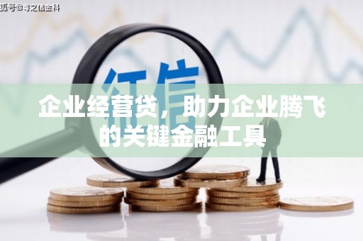 连云企业经营贷，助力企业腾飞的关键金融工具