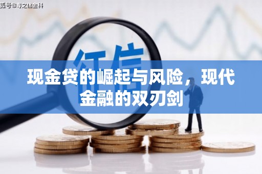盐源现金贷的崛起与风险，现代金融的双刃剑