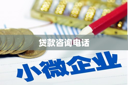 水城贷款咨询电话