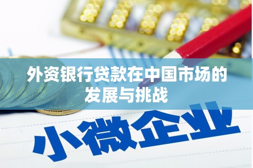 蒲江外资银行贷款在中国市场的发展与挑战