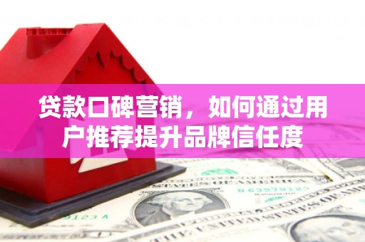 丽水贷款口碑营销，如何通过用户推荐提升品牌信任度