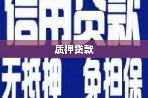 汕尾质押贷款