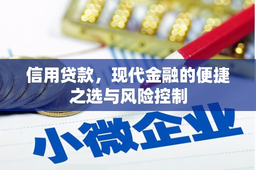六枝信用贷款，现代金融的便捷之选与风险控制