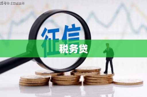 那曲税务贷