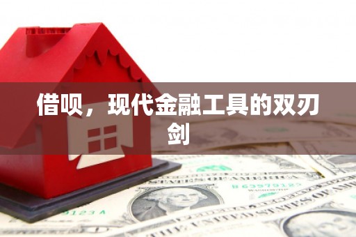 西海岸借呗，现代金融工具的双刃剑