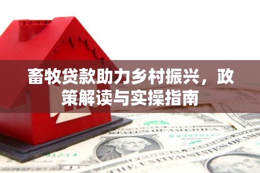 广水畜牧贷款助力乡村振兴，政策解读与实操指南