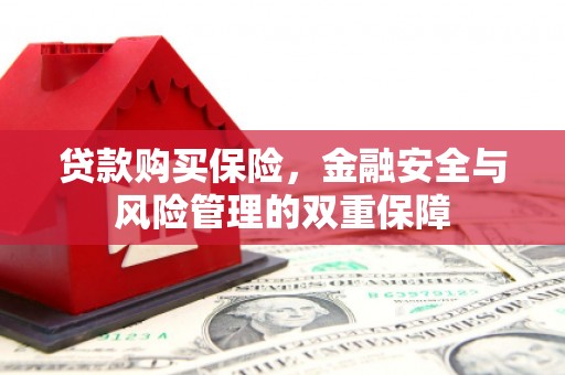 昂昂溪贷款购买保险，金融安全与风险管理的双重保障