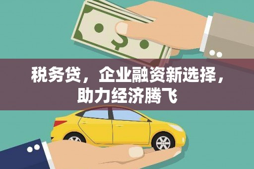 琼结税务贷，企业融资新选择，助力经济腾飞