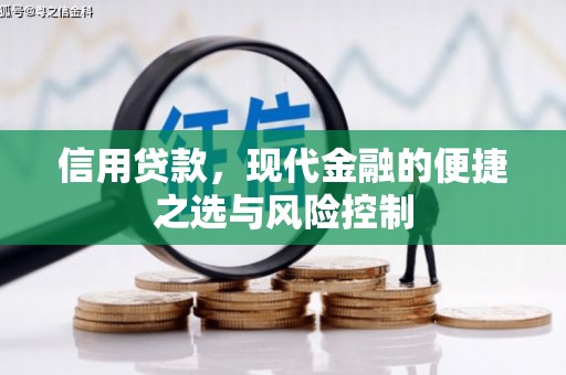 天宁信用贷款，现代金融的便捷之选与风险控制