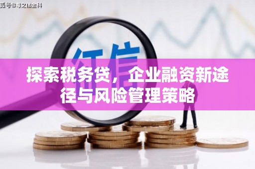 西山探索税务贷，企业融资新途径与风险管理策略