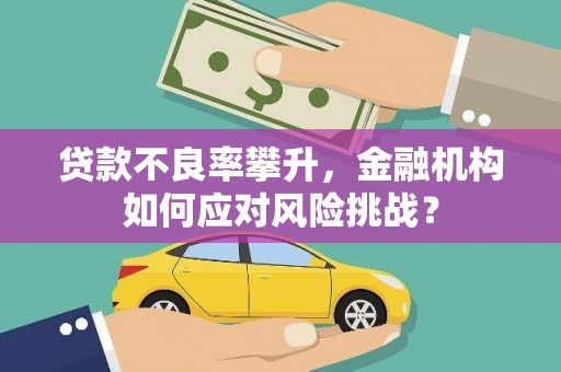 永寿贷款不良率攀升，金融机构如何应对风险挑战？