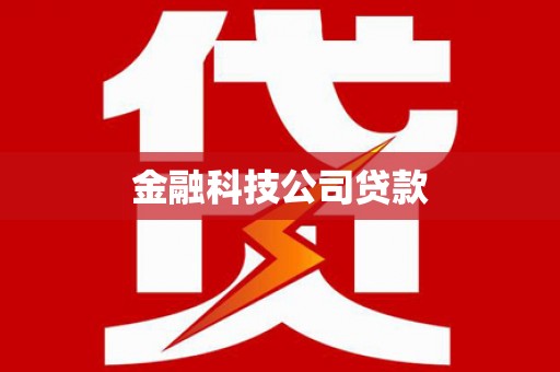 西城金融科技公司贷款
