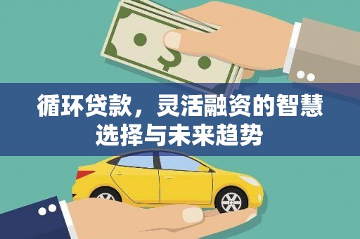 美浓循环贷款，灵活融资的智慧选择与未来趋势