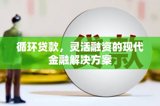 天镇循环贷款，灵活融资的现代金融解决方案