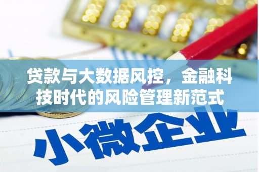 石家庄贷款与大数据风控，金融科技时代的风险管理新范式
