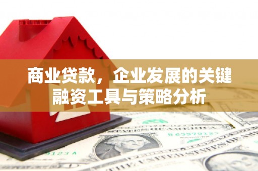 朱家尖商业贷款，企业发展的关键融资工具与策略分析