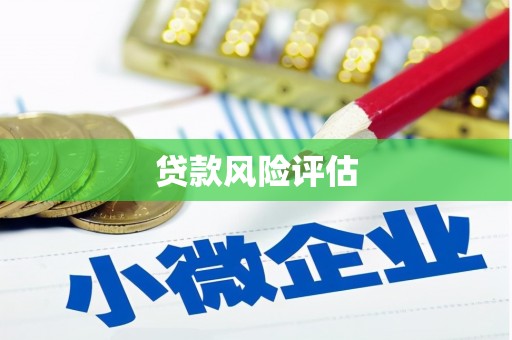 春日贷款风险评估