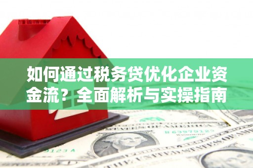 绿园如何通过税务贷优化企业资金流？全面解析与实操指南