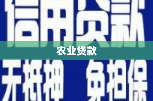 九原农业贷款