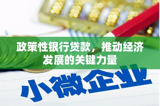 内湖政策性银行贷款，推动经济发展的关键力量