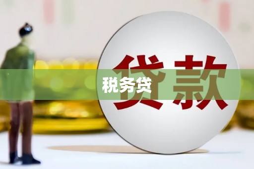 金寨税务贷