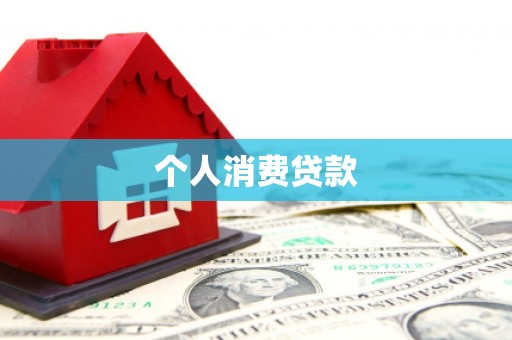 大武个人消费贷款