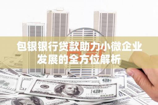 普湾新区包银银行贷款助力小微企业发展的全方位解析