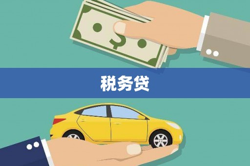 仙游税务贷