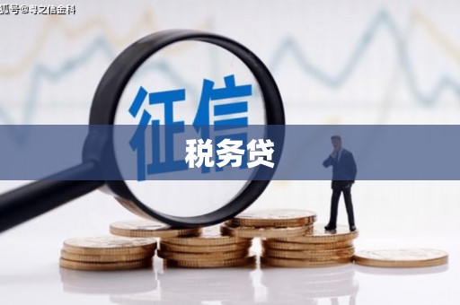 东明税务贷