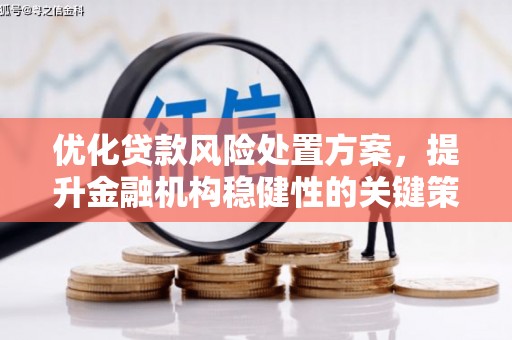 潢川优化贷款风险处置方案，提升金融机构稳健性的关键策略