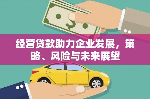 林芝经营贷款助力企业发展，策略、风险与未来展望